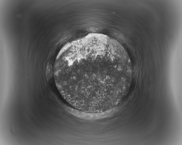 X0000086270043200704262025