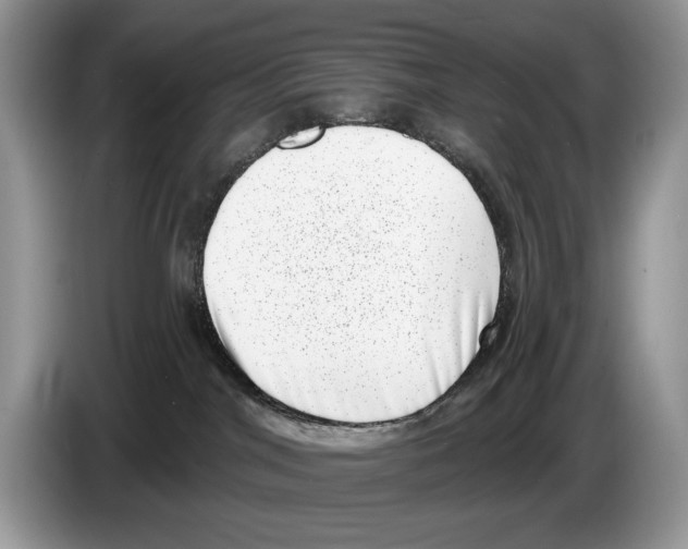 X0000086270044200704262025