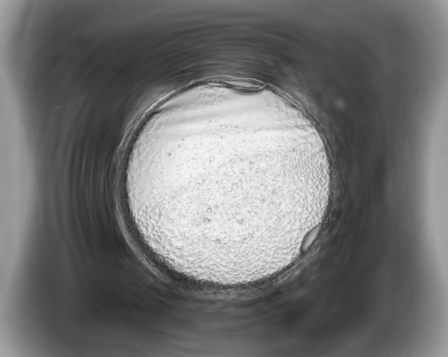 X0000086270049200704262024