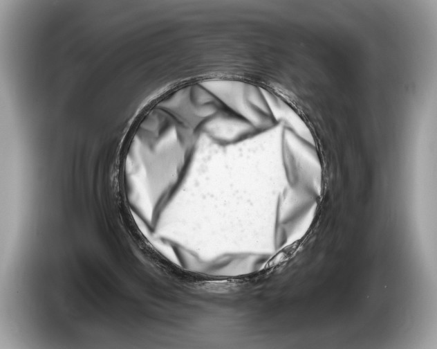 X0000086270050200704262024