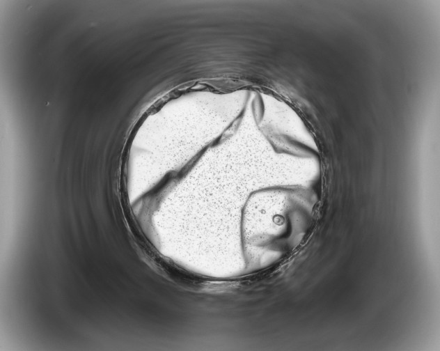 X0000086270051200704262024