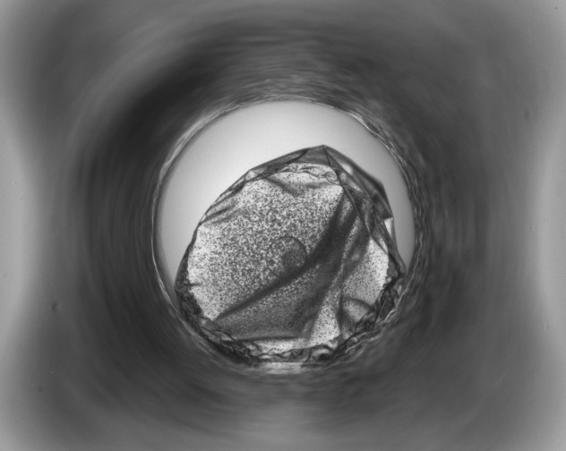 X0000086270052200704262024