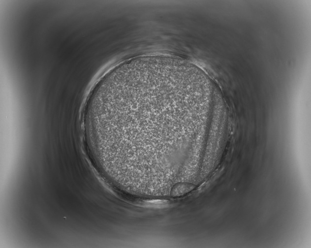 X0000086270053200704262024