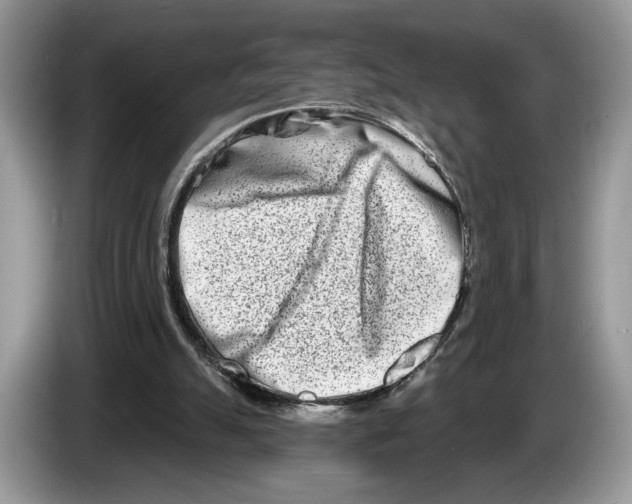 X0000086270055200704262024