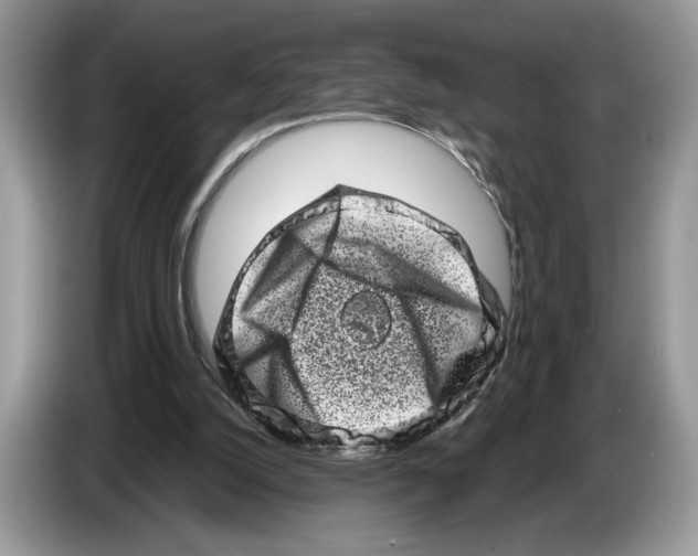 X0000086270056200704262024