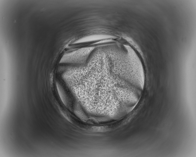 X0000086270057200704262024