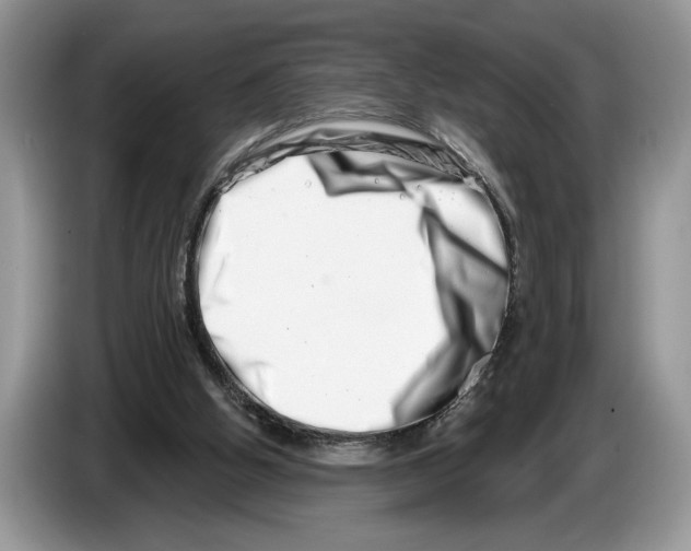 X0000086270058200704262024