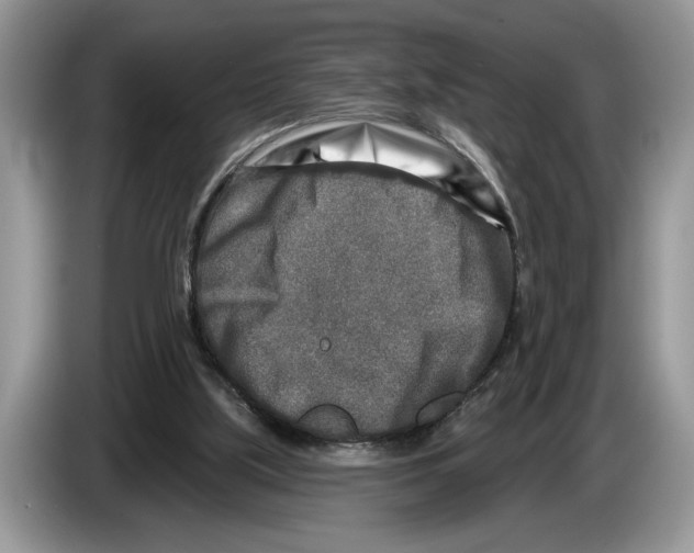 X0000086270059200704262024