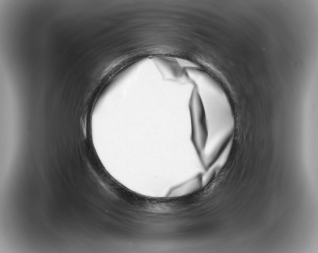 X0000086270062200704262024