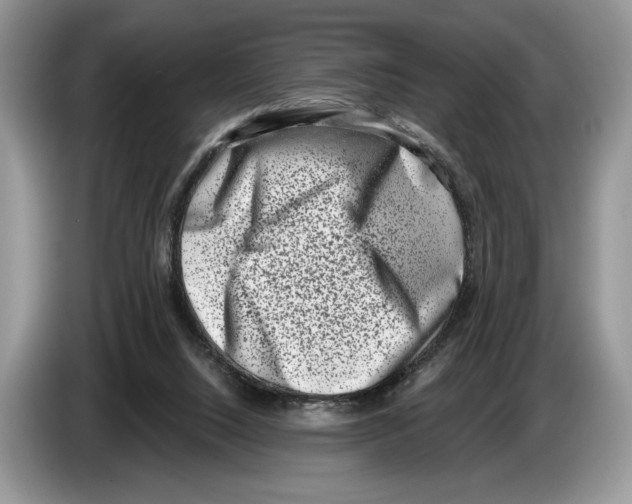 X0000086270064200704262024