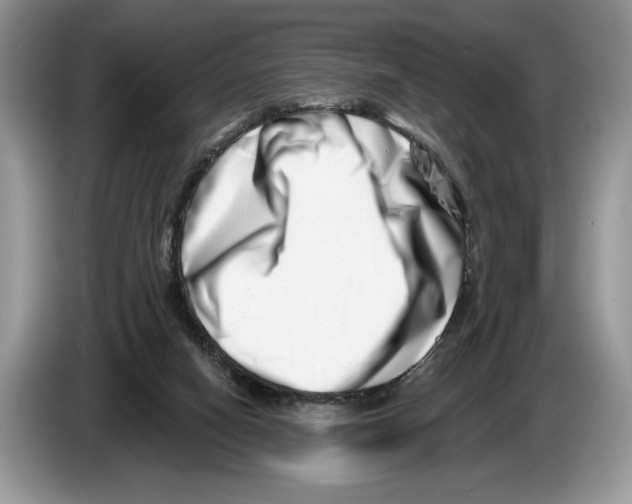 X0000086270066200704262024