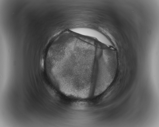 X0000086270067200704262024