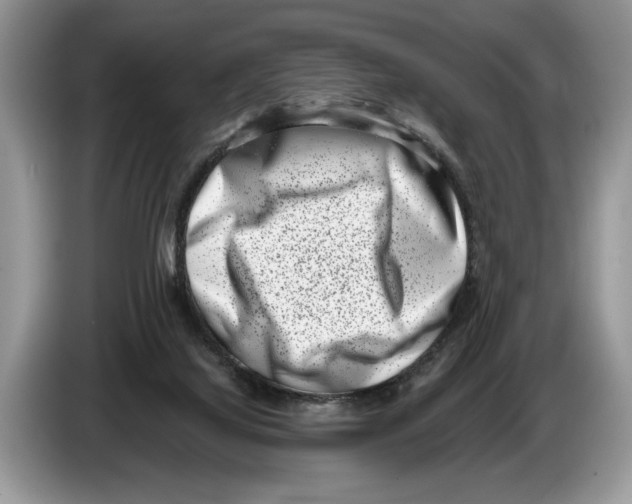 X0000086270068200704262024