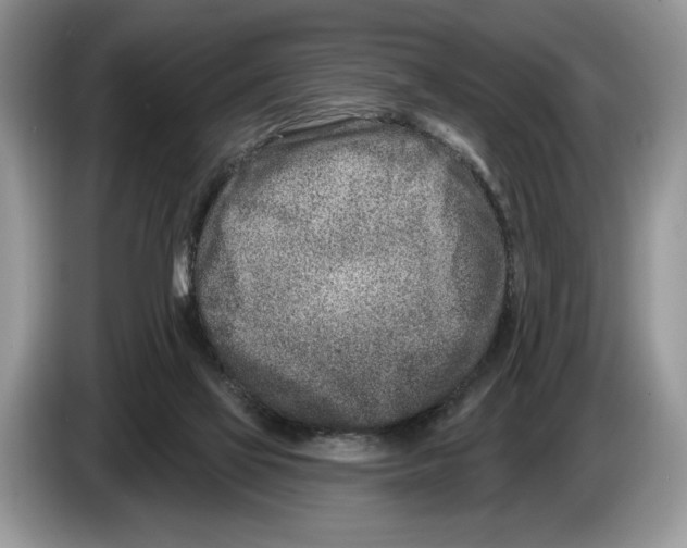 X0000086270069200704262024
