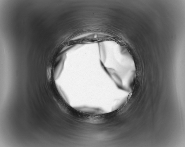 X0000086270070200704262024