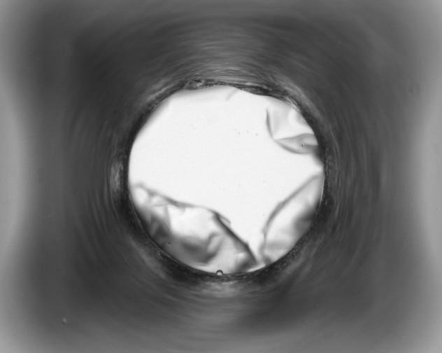 X0000086270071200704262024