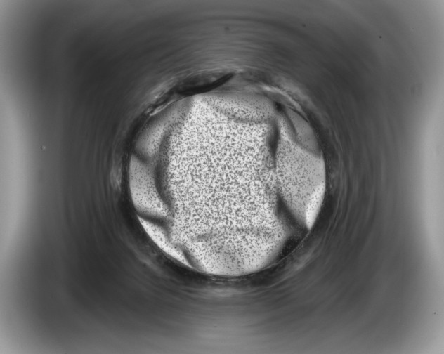 X0000086270072200704262024