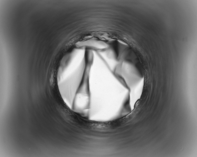X0000086270074200704262025