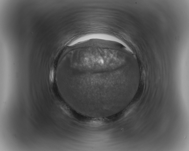 X0000086270076200704262025