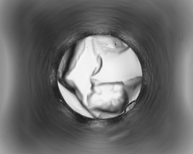X0000086270077200704262025