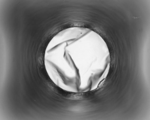 X0000086270078200704262025