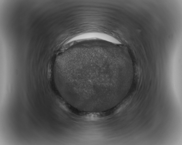 X0000086270080200704262025
