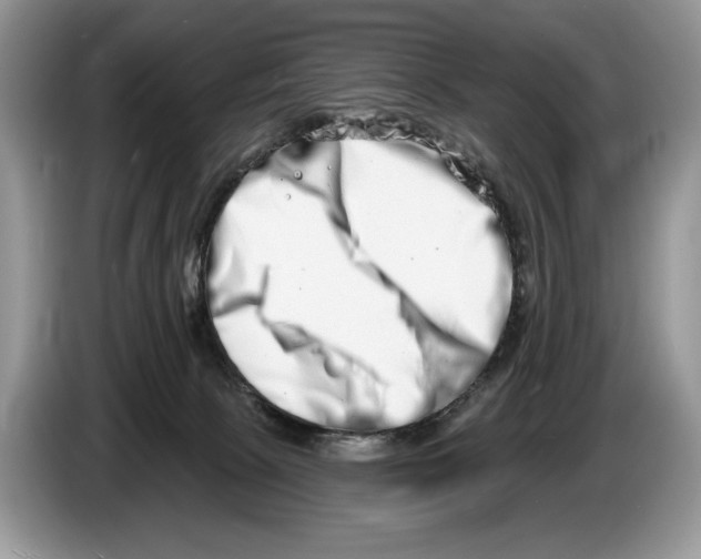 X0000086270081200704262025