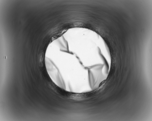 X0000086270082200704262025