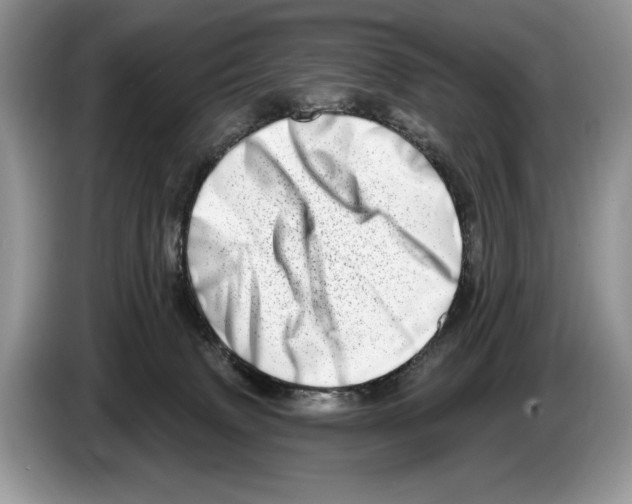 X0000086270083200704262025
