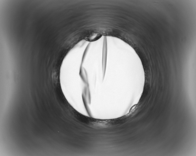 X0000086270086200704262025
