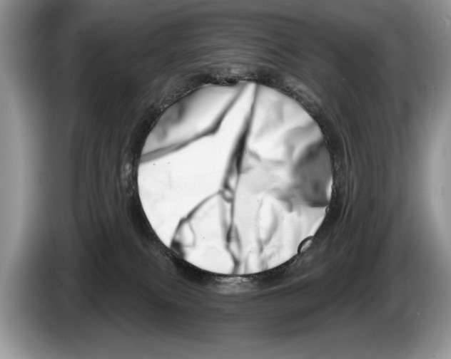 X0000086270087200704262025