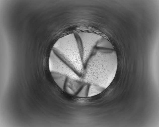 X0000086270088200704262025