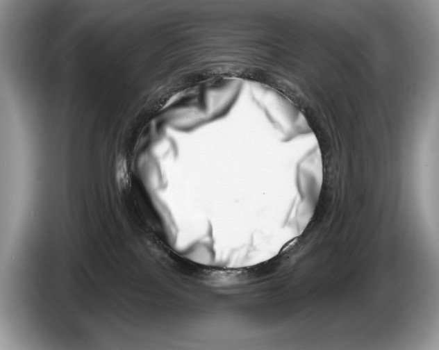 X0000086270089200704262025