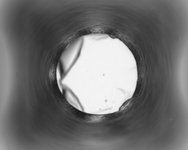 X0000086270090200704262025