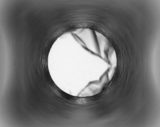 X0000086270091200704262025