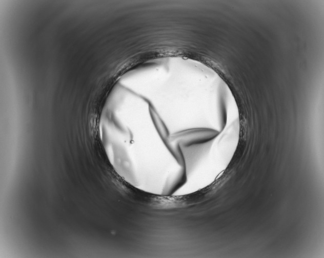 X0000086270093200704262025