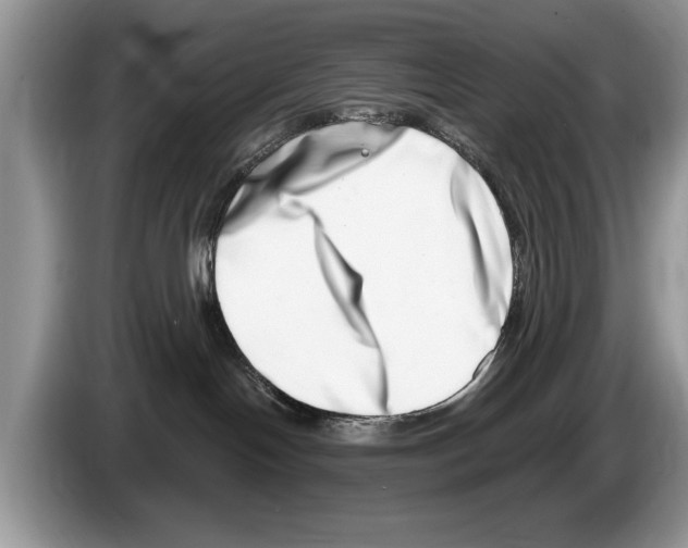 X0000086270094200704262025