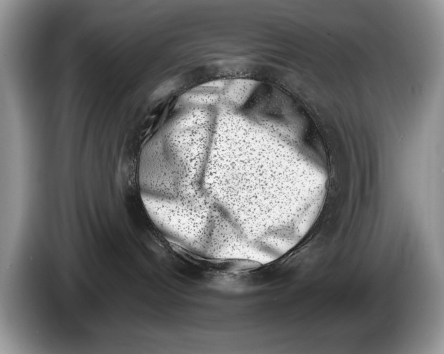 X0000086270096200704262025