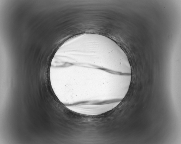 X0000086270098200704262024