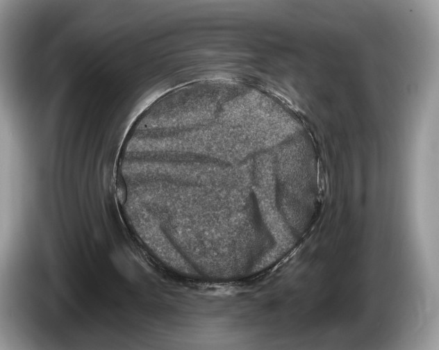 X0000086270099200704262024