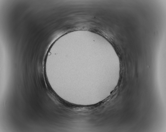 X0000086270100200704262024