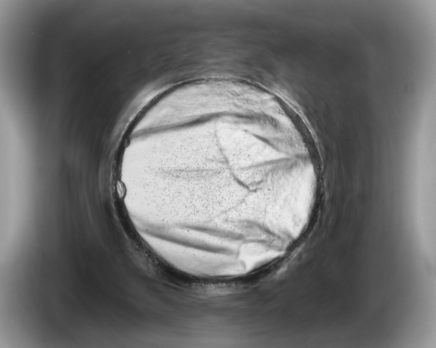 X0000086270103200704262024