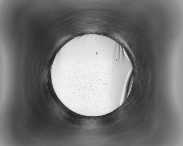 X0000086270106200704262024