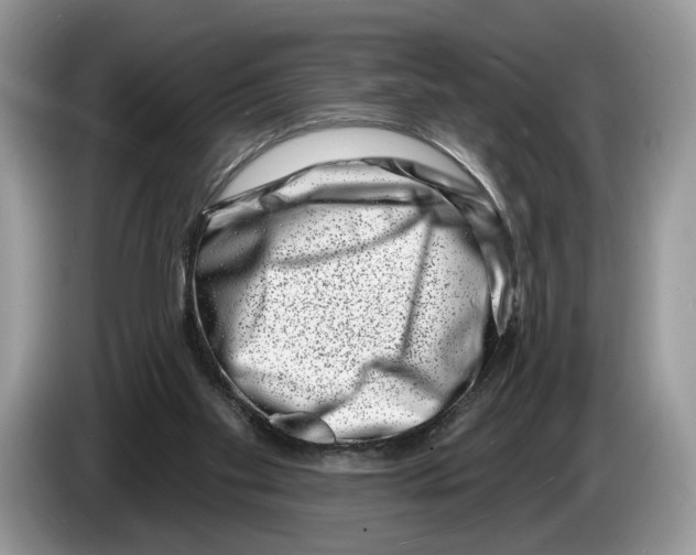 X0000086270109200704262024