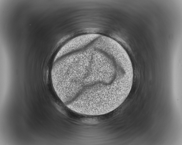 X0000086270110200704262024