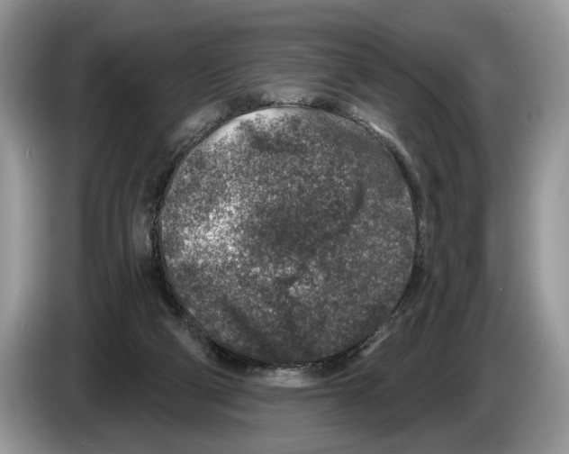 X0000086270114200704262024