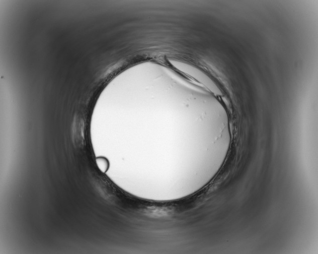 X0000086270115200704262024