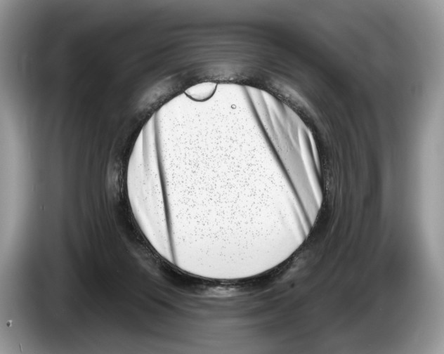 X0000086270119200704262024