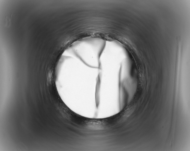 X0000086270123200704262024
