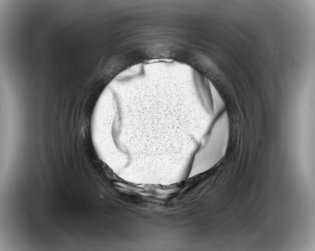 X0000086270125200704262024